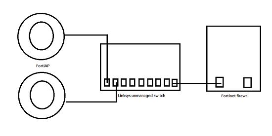 phytopology.JPG